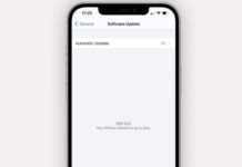 iOS 14.6 facilite la sortie de la version bêta et l’installation de la version finale ios 14 6 beta1 2