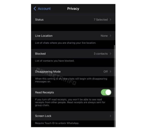 whatsapp ios disappearing mode