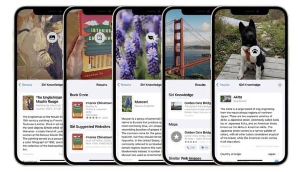 live text ios 15 4