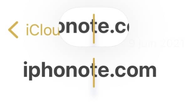 loupe ios 15