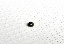 Écran mini-LED : de quoi est faite la dalle de l’iPad Pro M1 12,9″ ? mini led ipad pro j21 2