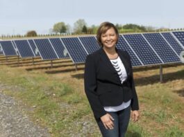 lisa jackson panneaux solaires