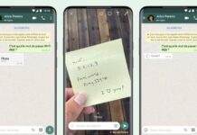 whatsapp vue unique