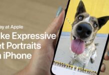 today at apple animaux