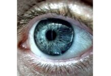 expertise yeux macro iphone 13 pro 3