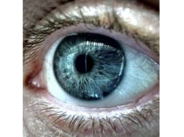 Expertise des yeux ? Le mode Macro de l’iPhone 13 Pro s’en charge expertise yeux macro iphone 13 pro 3