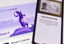 permis de conduire wallet iphone