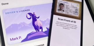 permis de conduire wallet iphone