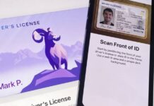 permis conduire wallet ios 15