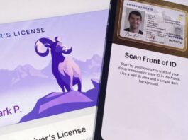 permis conduire wallet ios 15