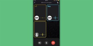 whatsapp interface appels vocaux f22