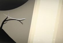 Prune+ arrive sur Apple Arcade prune apple arcade