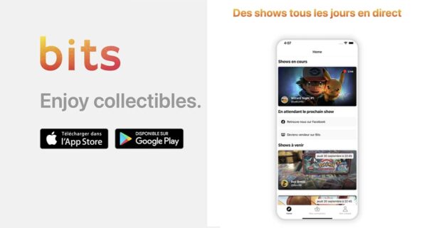 bits live enchere cartes pokemon
