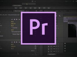 maj premiere pro m22