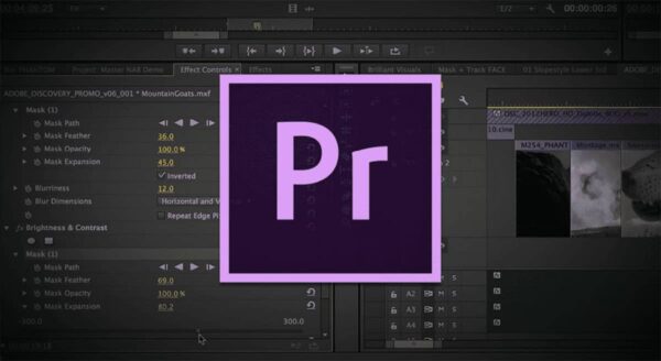 Premiere Pro, transparence GIF, Adobe