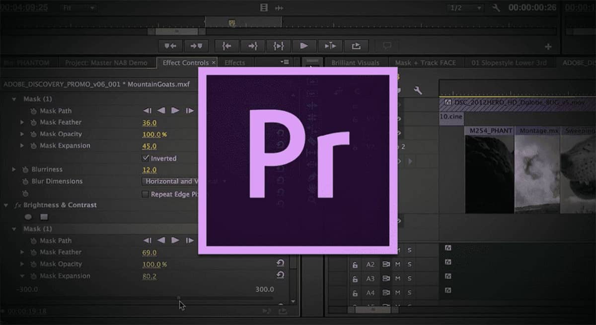 maj premiere pro m22