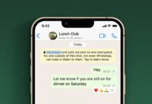 WhatsApp, une nouvelle mise à jour améliorera les réactions reactions whatsapp