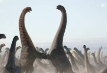 Apple TV+ publie le second trailer de « The Prehistoric Planet » the prehistoric planet apple tv
