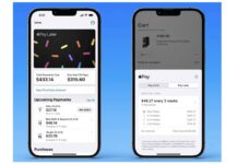 apple pay later 2022
