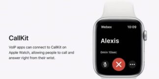 apple watch callkit