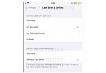 statut en ligne whatsapp