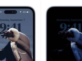 Comment désactiver le mode Always-On sur iPhone 14 Pro mode always on activation iphone 14 pro