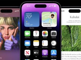 Les utilisateurs d’iPhone préfèrent toujours les modèles Pro dynamic island iphone 14 pro 22