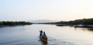 foxconn agriculteurs chine