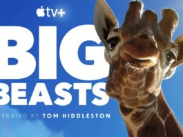 big beasts apple tv