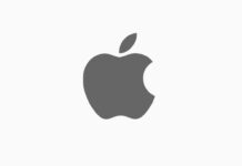 apple startup ia