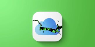 bug macos 14 4 2
