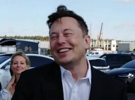 elon musk tesla 24 2