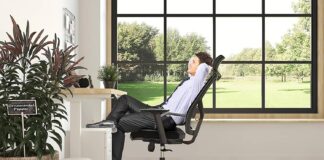 flexispot bs12 pro