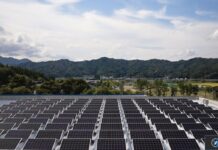 apple solar 1.jpg