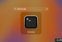 terminal2 e1744385173699.png