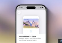 Apple Wallet : prise en charge des pièces d’identité étendue dans le Montana apple wallet prise charge pieces identite etendue montana