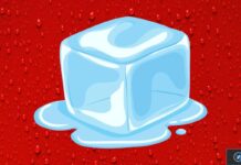 ancien responsable marketing apple interroge tim cook droits humains concernant iceblock