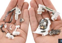 ifixit demonte airpods pro decouverte embouts mousse