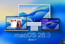 apple lance premiere beta macos decouvrez nouveautes
