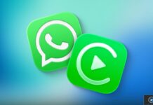 whatsapp lance carplay application dediee testeurs beta