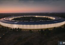 68418 144183 apple park night xl