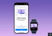 Permis numérique sur iPhone : un 15e État américain semble en approche iPhone et Apple Watch affichant un permis de conduire numérique