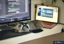 ChatGPT et code affichés sur un ordinateur