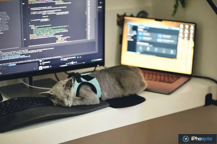 ChatGPT et code affichés sur un ordinateur