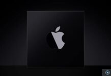 Puce Apple noire représentée sur fond sombre