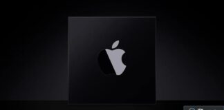 Puce Apple noire représentée sur fond sombre