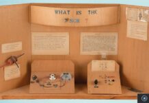 Steve Jobs : son projet de science de 1968 aux enchères Projet scientifique en bois de Steve Jobs avec deux circuits électroniques