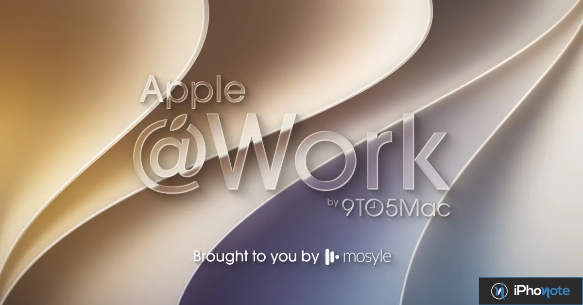 Illustration : Understanding Apple Business Manager roles and permissions