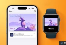 Apple Wallet préparerait l’arrivée de quatre États américains iPhone et Apple Watch affichent un permis numérique dans Wallet